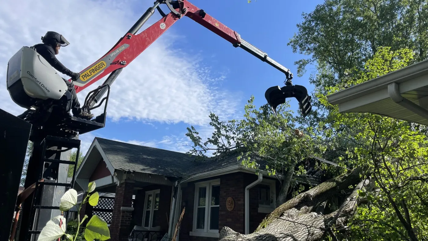 Emergency Tree Services — Arbor Management Metro East IL Emergency Tree Services
